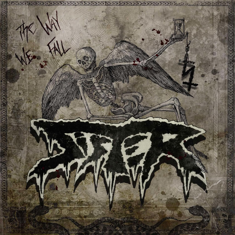 The Way We Fall cover