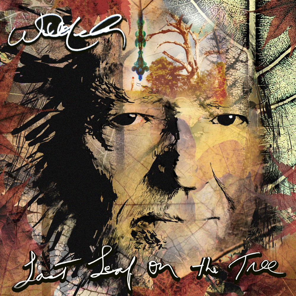 Last Leaf On The Tree - Willie Nelson - Cover