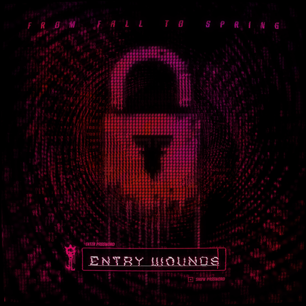 Entry Wounds cover