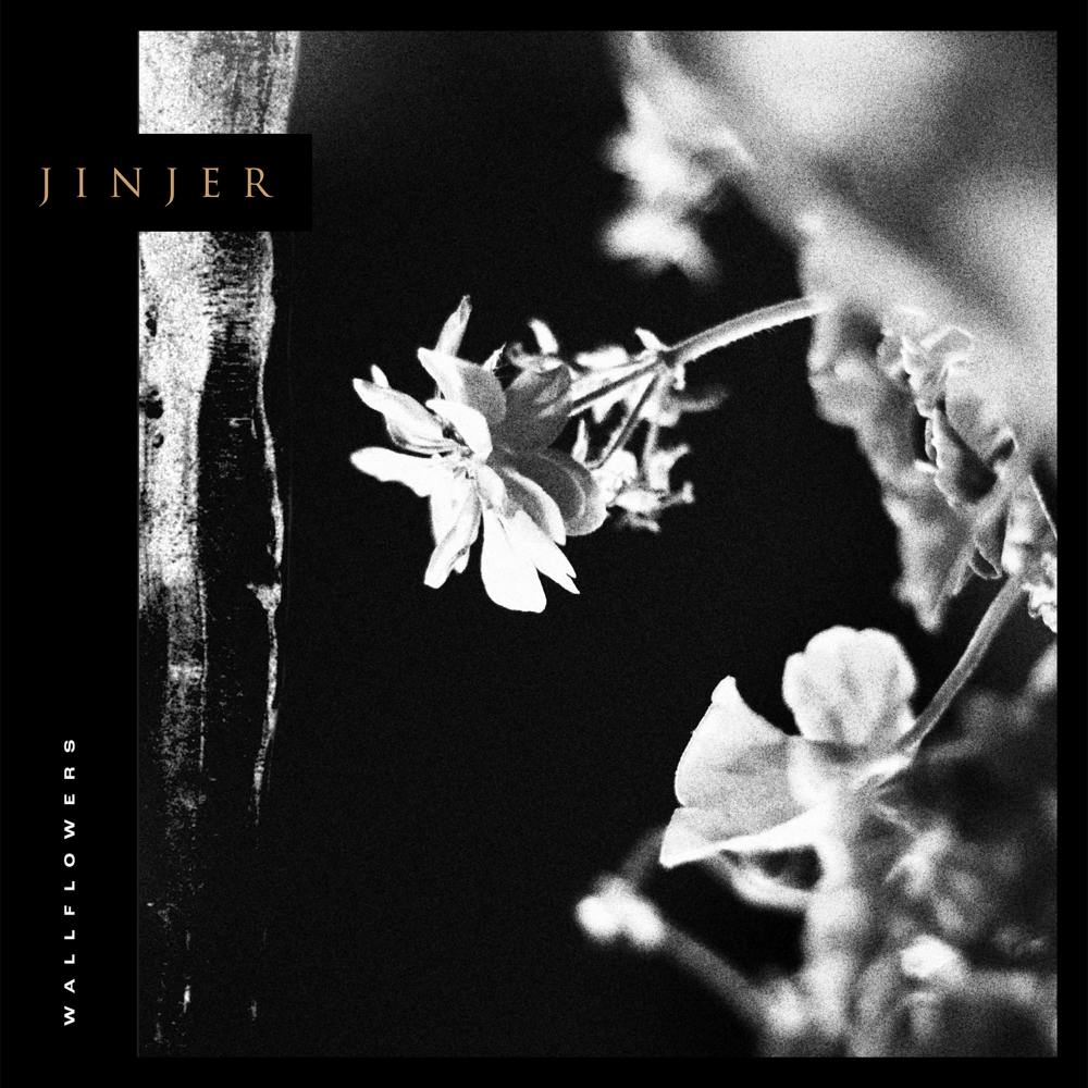 Wallflowers - Jinjer - Cover