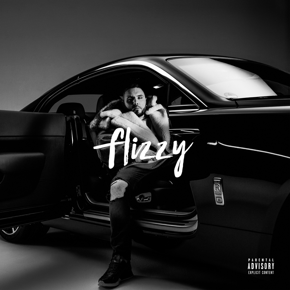Flizzy - Fler - Cover
