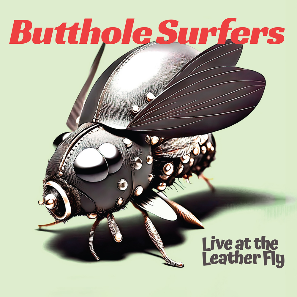 Live At the Leather Fly cover