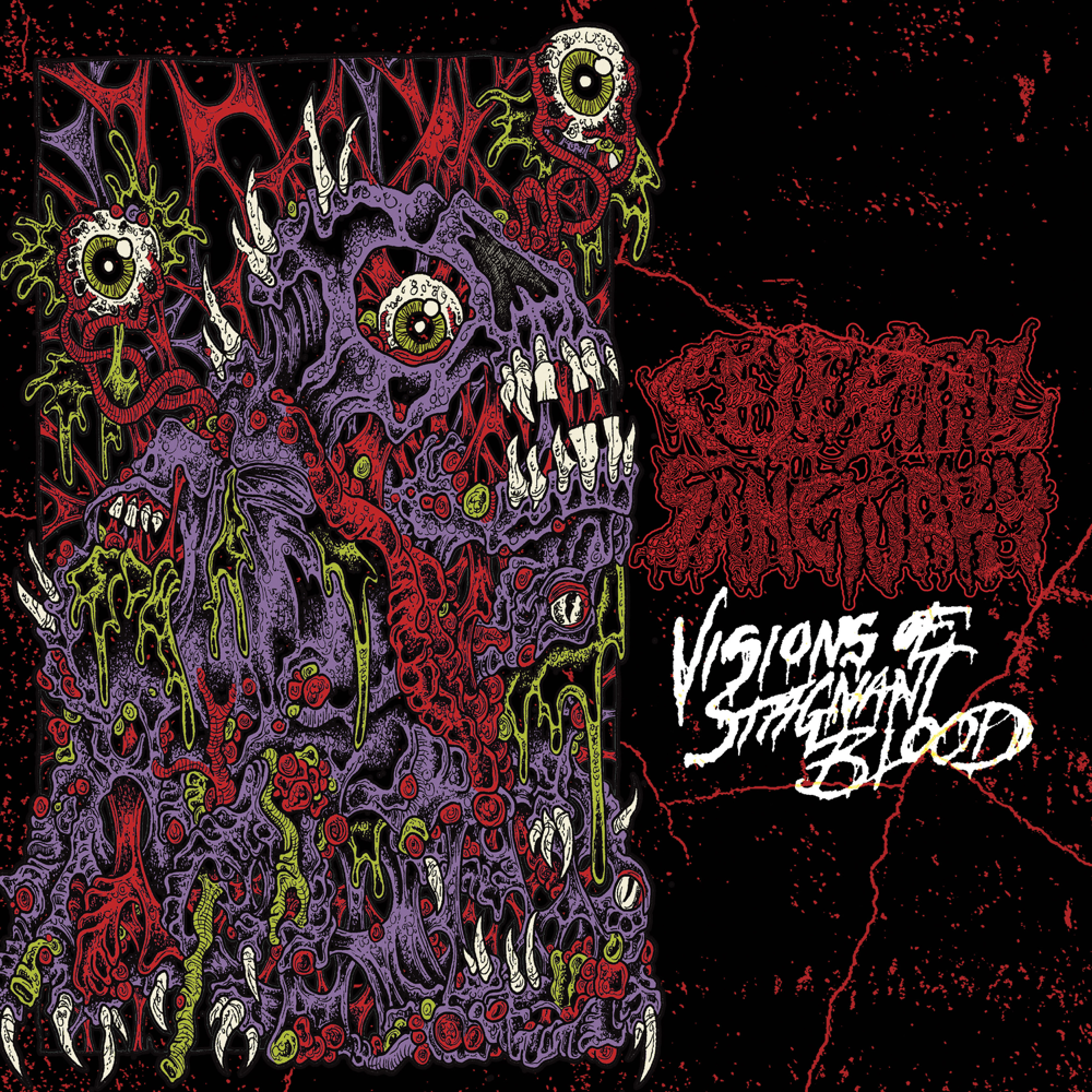 Visions Of Stagnant Blood - Celestial Sanctuary - Cover