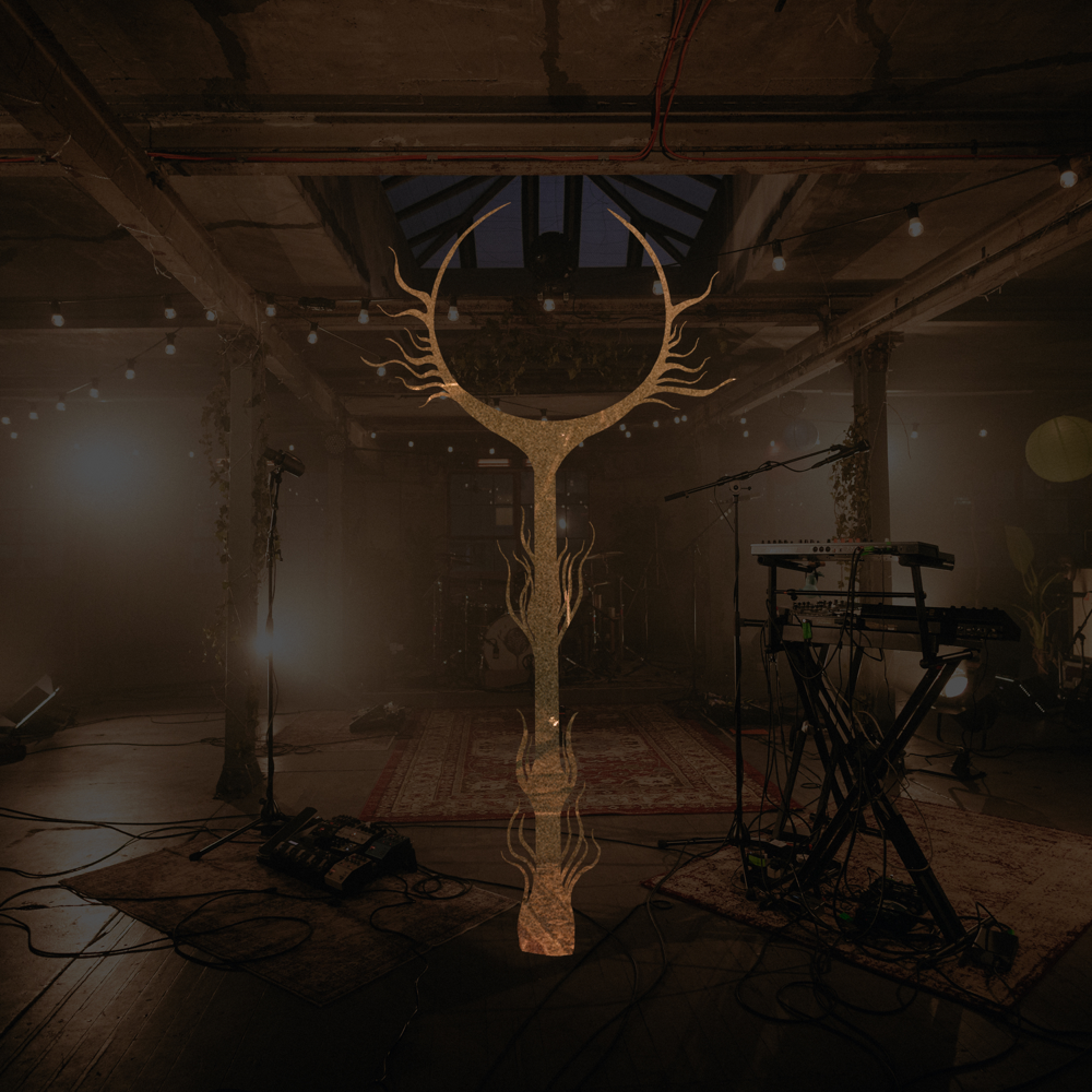 Live At The Biscuit Factory cover