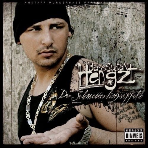 Der Schmetterlingseffekt - Bass Sultan Hengzt - Cover
