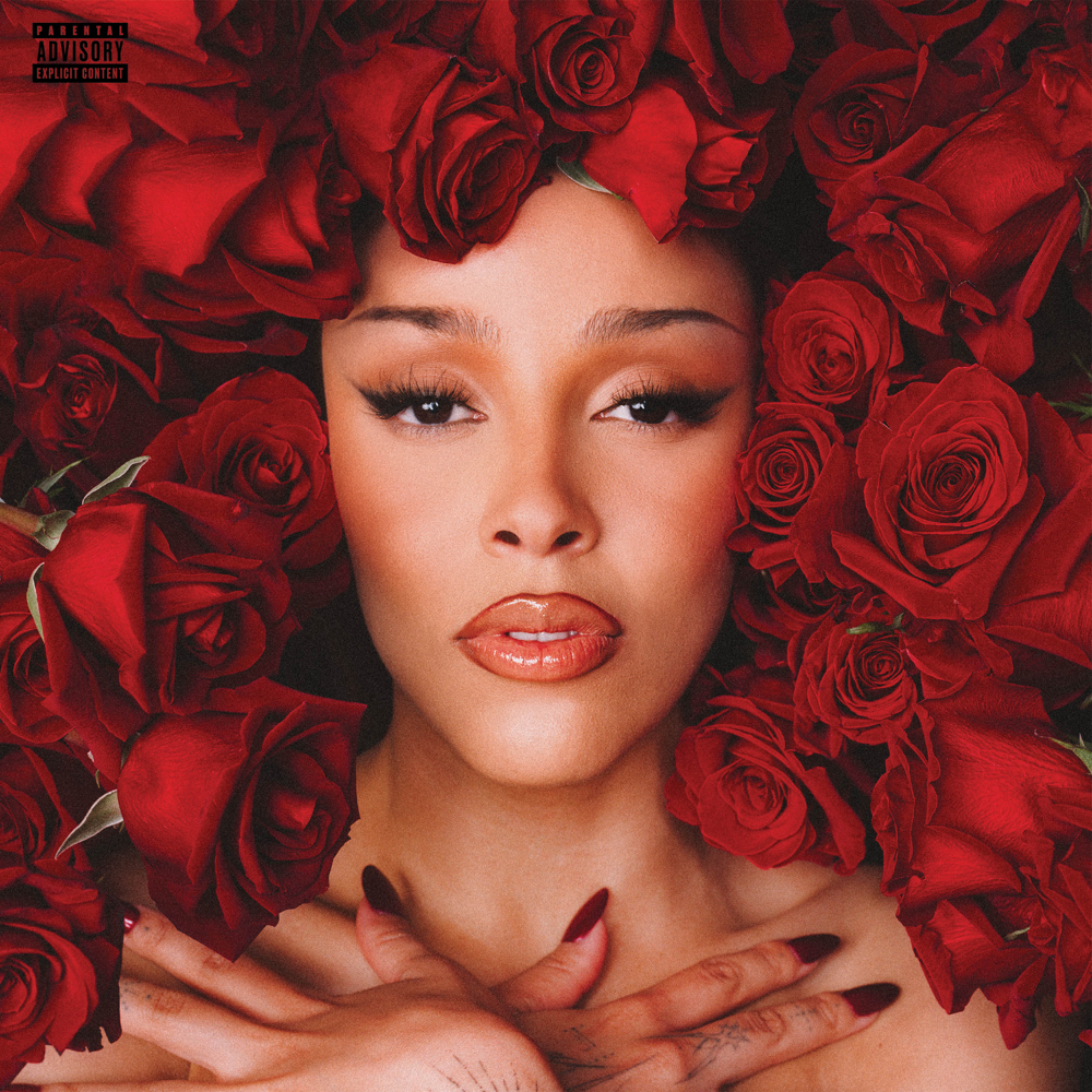 Vie cover