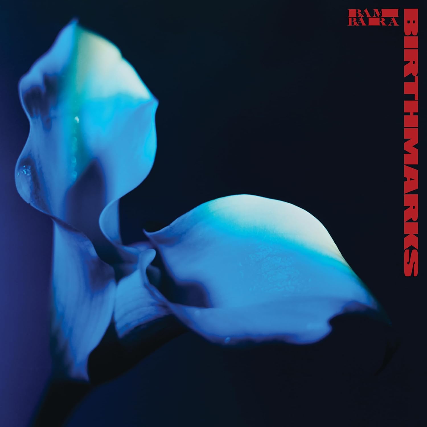 Birthmarks - Bambara - Cover