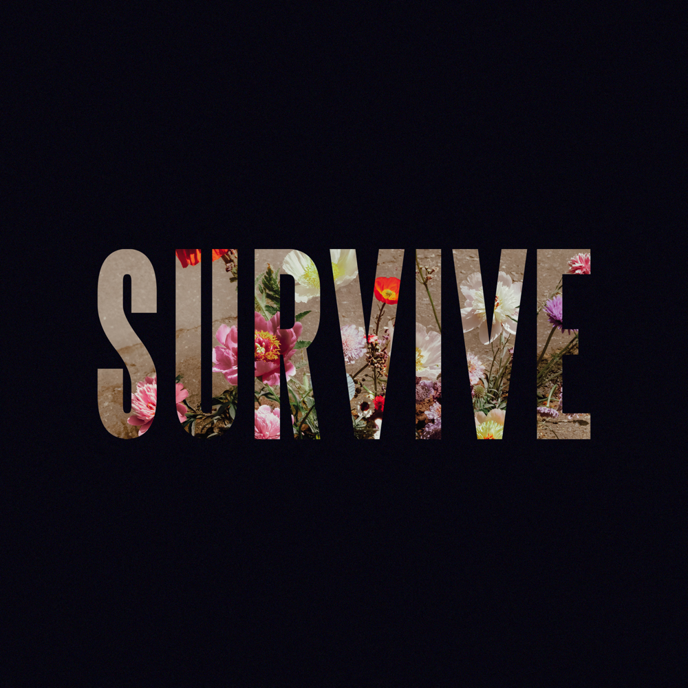 Survive - Lewis Capaldi - Cover