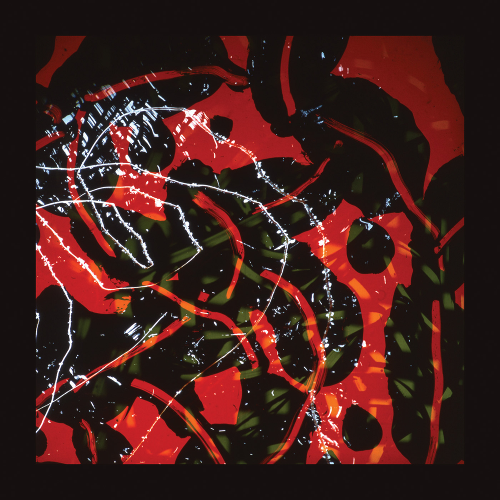 Nerve Net - Brian Eno - Cover