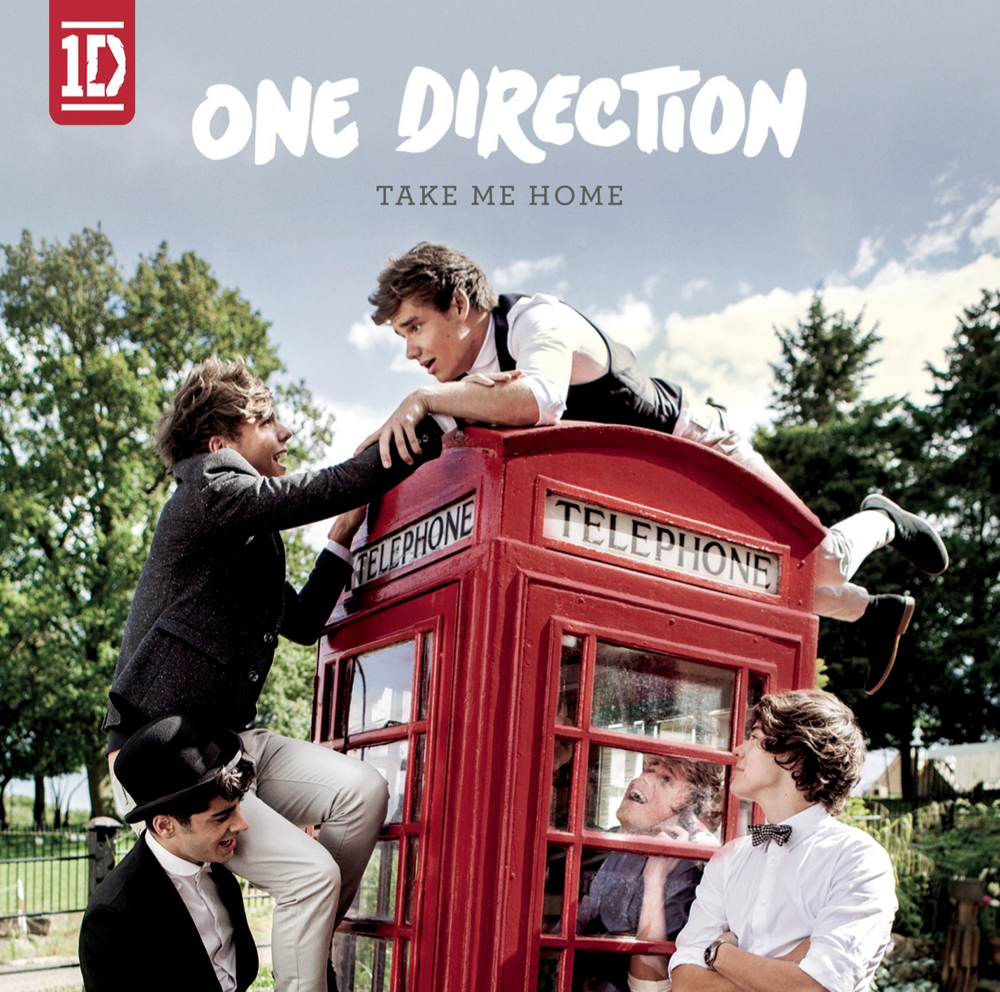 Take Me Home - One Direction - Cover