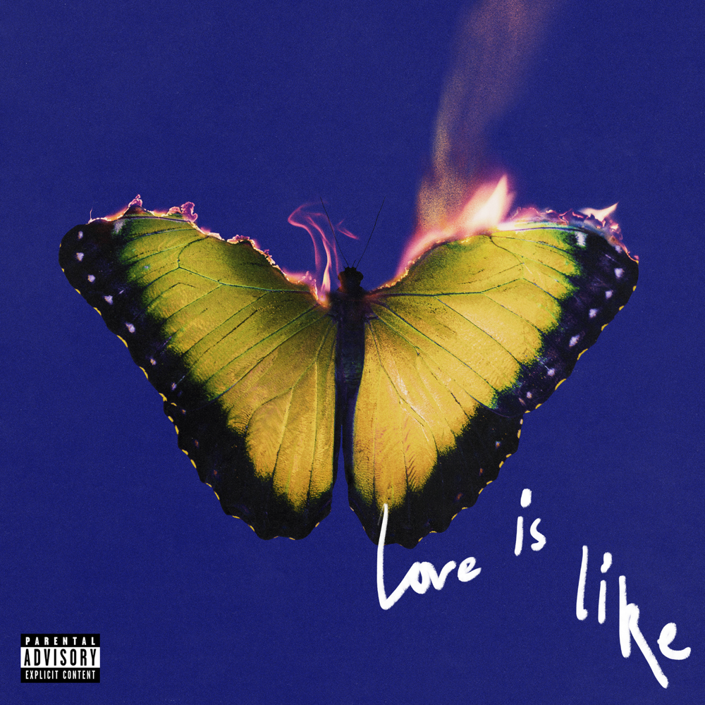 Love Is Like - Maroon 5 - Cover