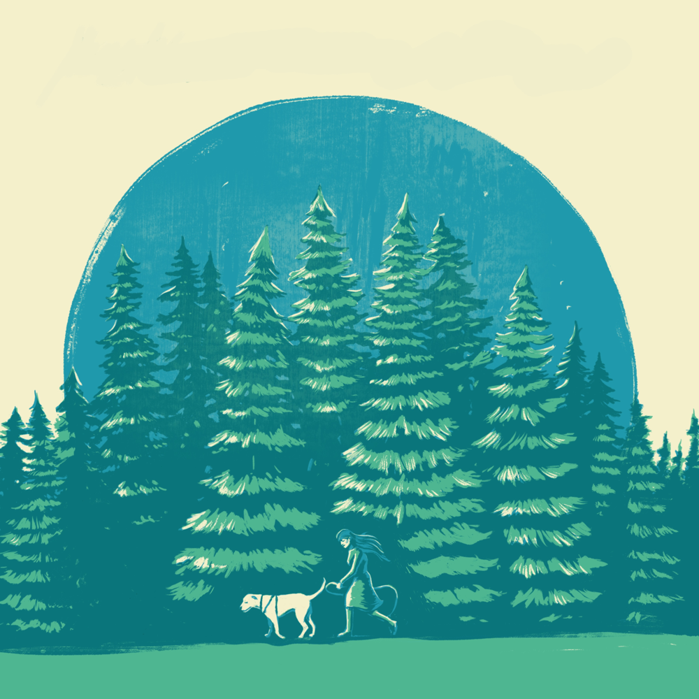 Among The Evergreens - Suzie Ungerleider - Cover