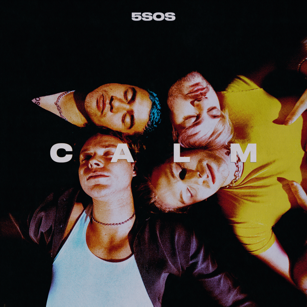 Calm - 5 Seconds Of Summer - Cover