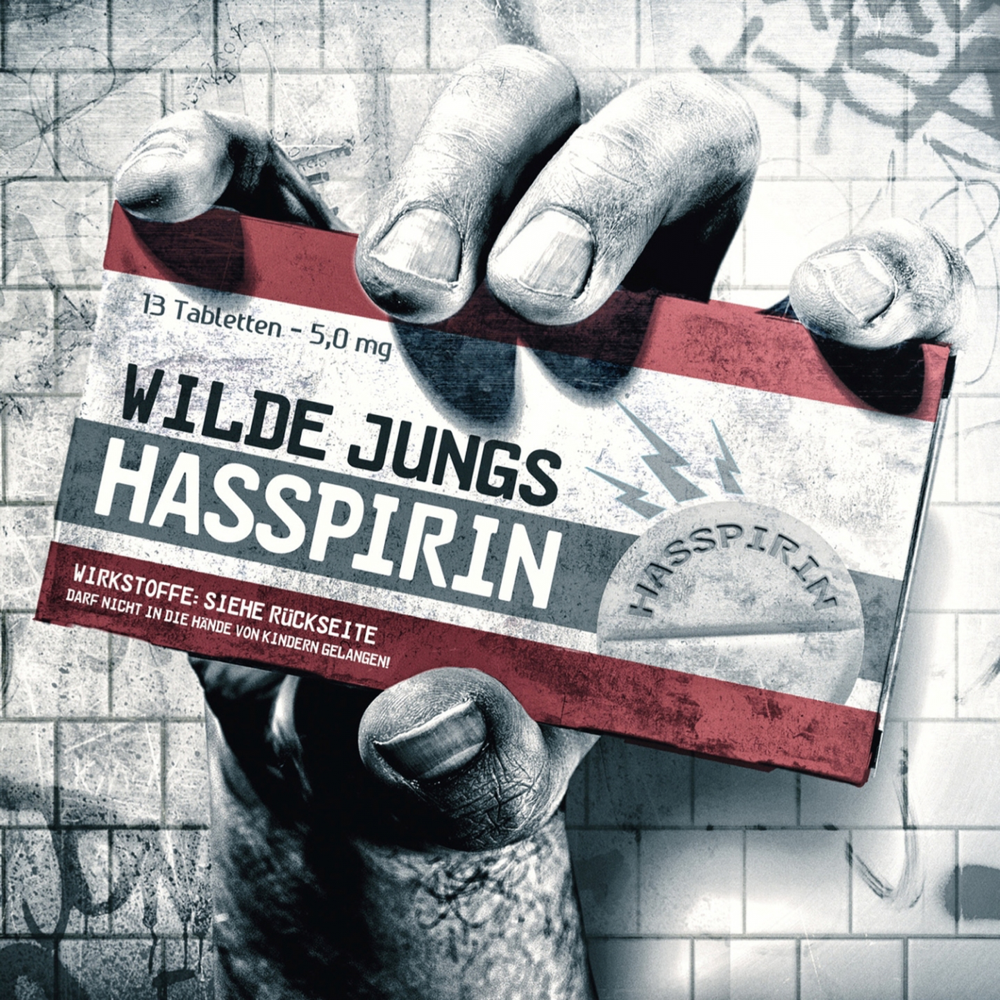 Hasspirin - Wilde Jungs - Cover