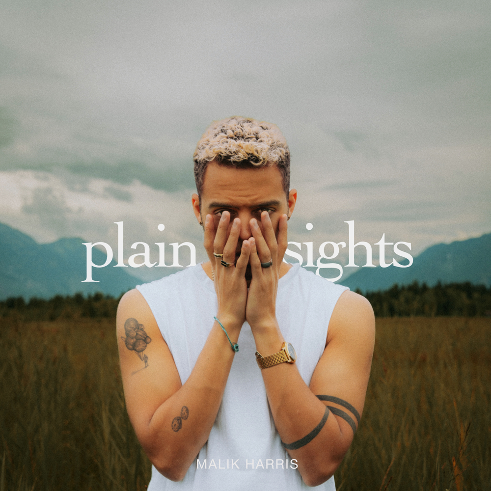 Plain Sights - Malik Harris - Cover