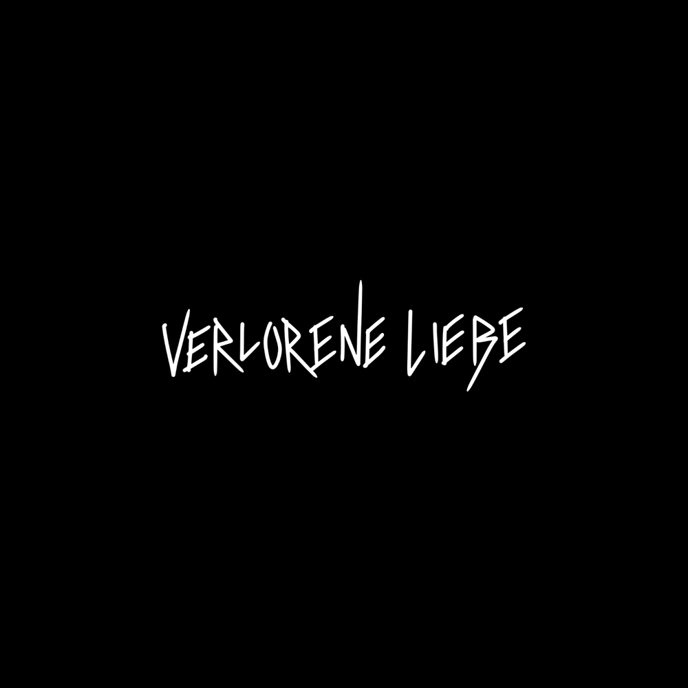 Verlorene Liebe - Metrickz - Cover