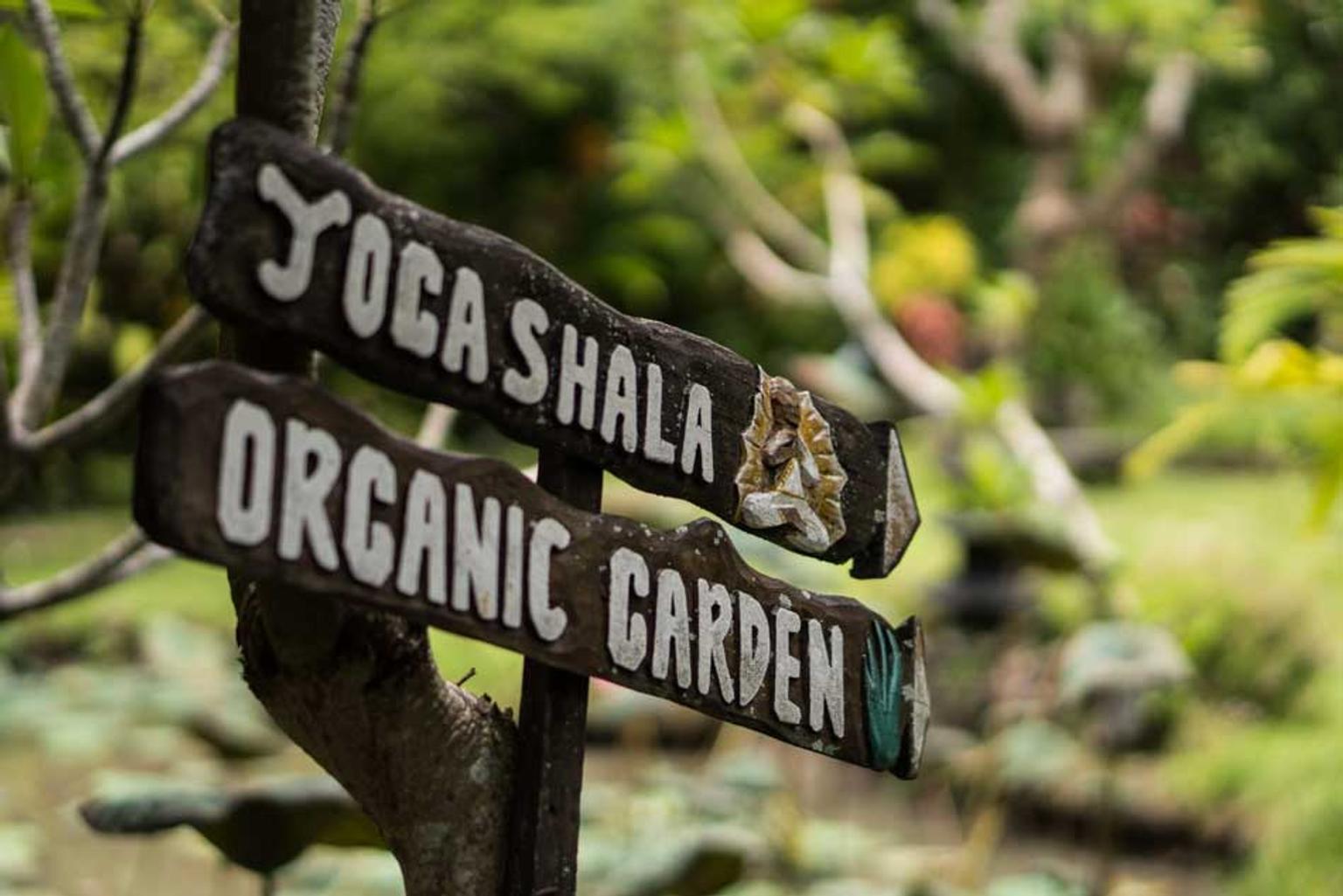 Shala de yoga et jardin biologique