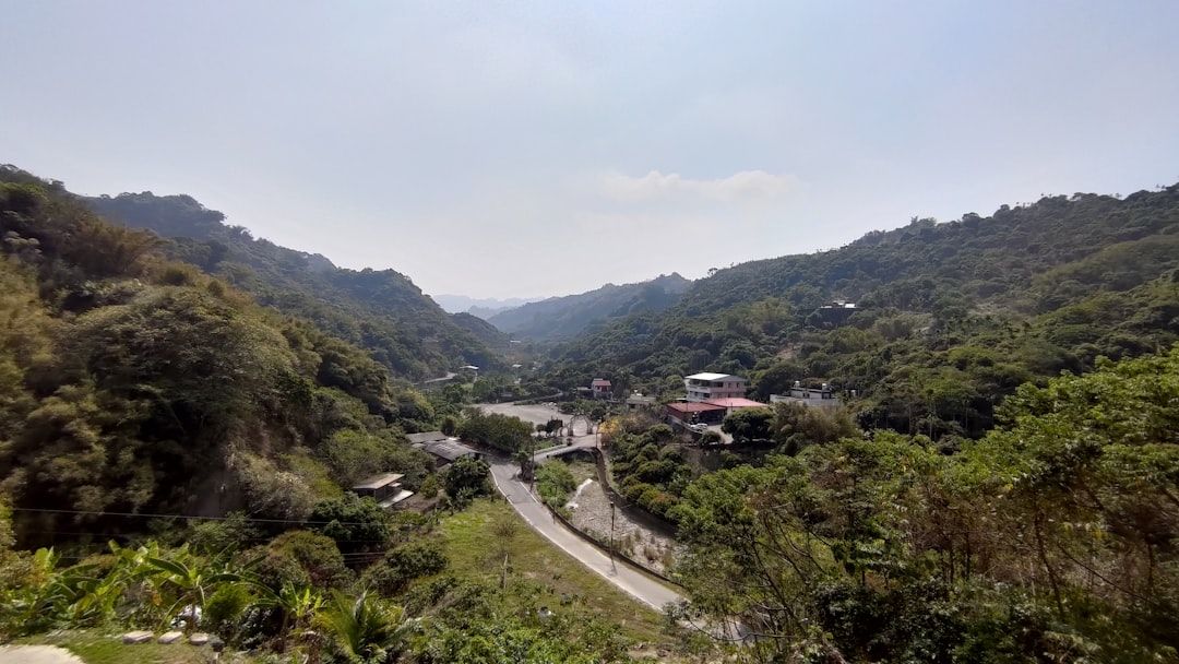 green trees on mountain during daytime