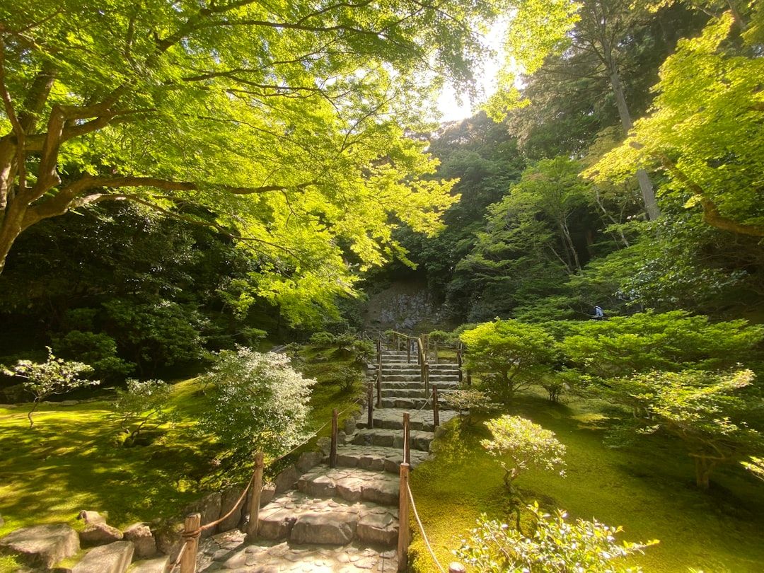 Kyoto in 2 Days: Temples, Tea, and Tradition