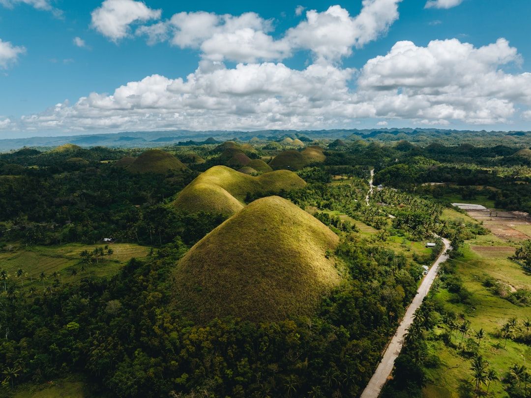An aerial view of a lush green landscape