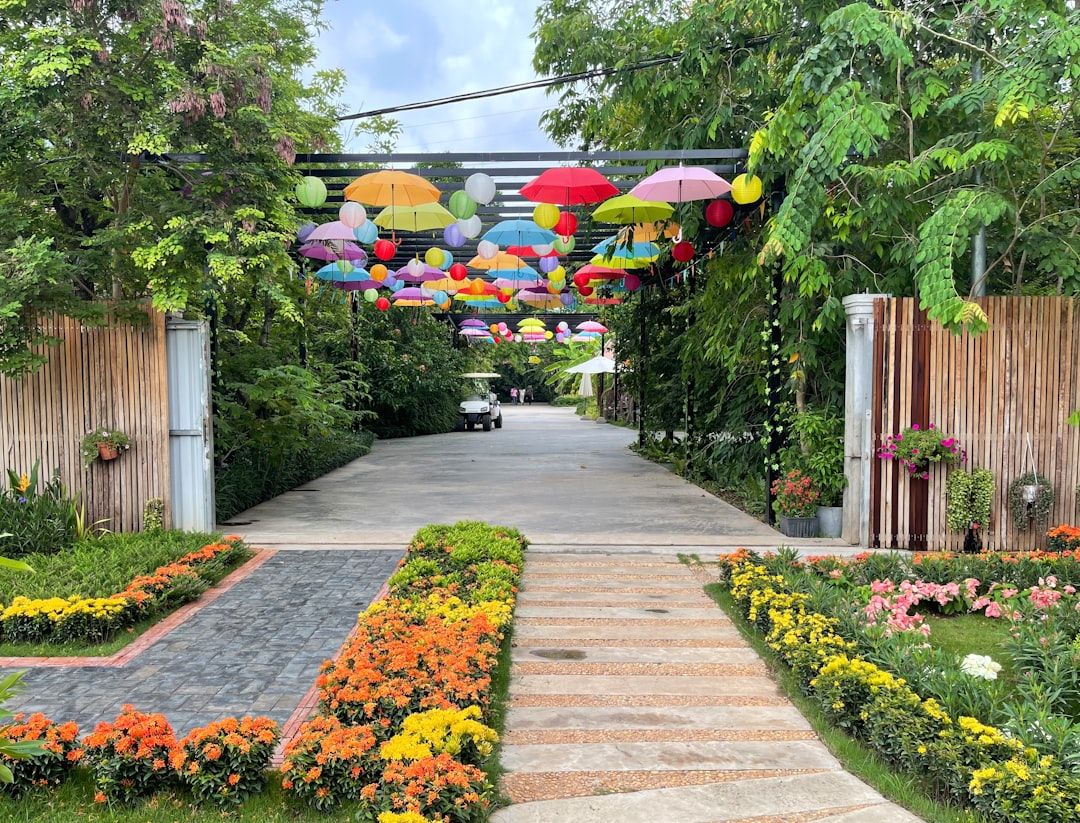 Lily's Secret Garden