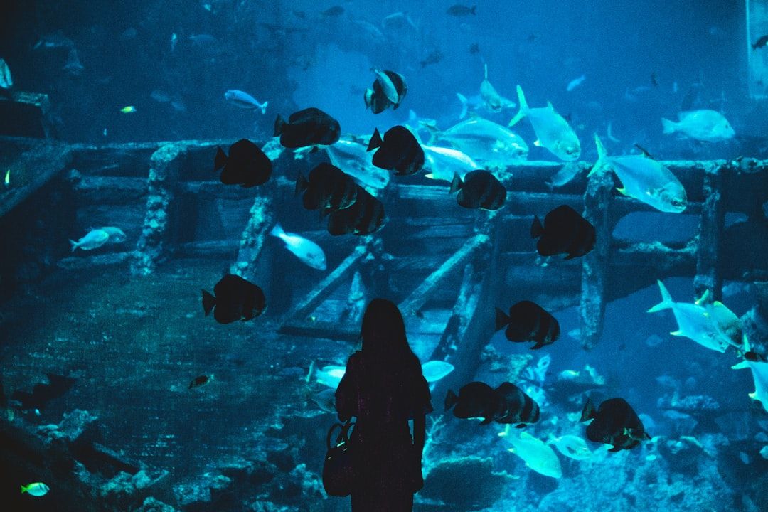 S.E.A. Aquarium
