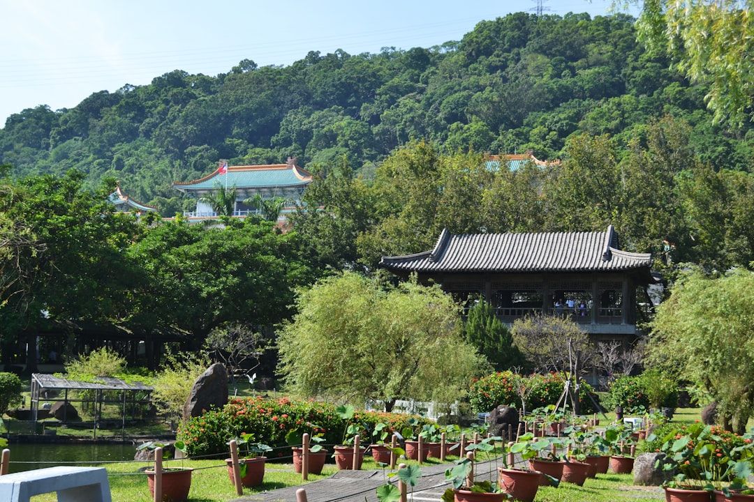 Taipei in 3 Days: Night Markets, Temples & Hot Springs