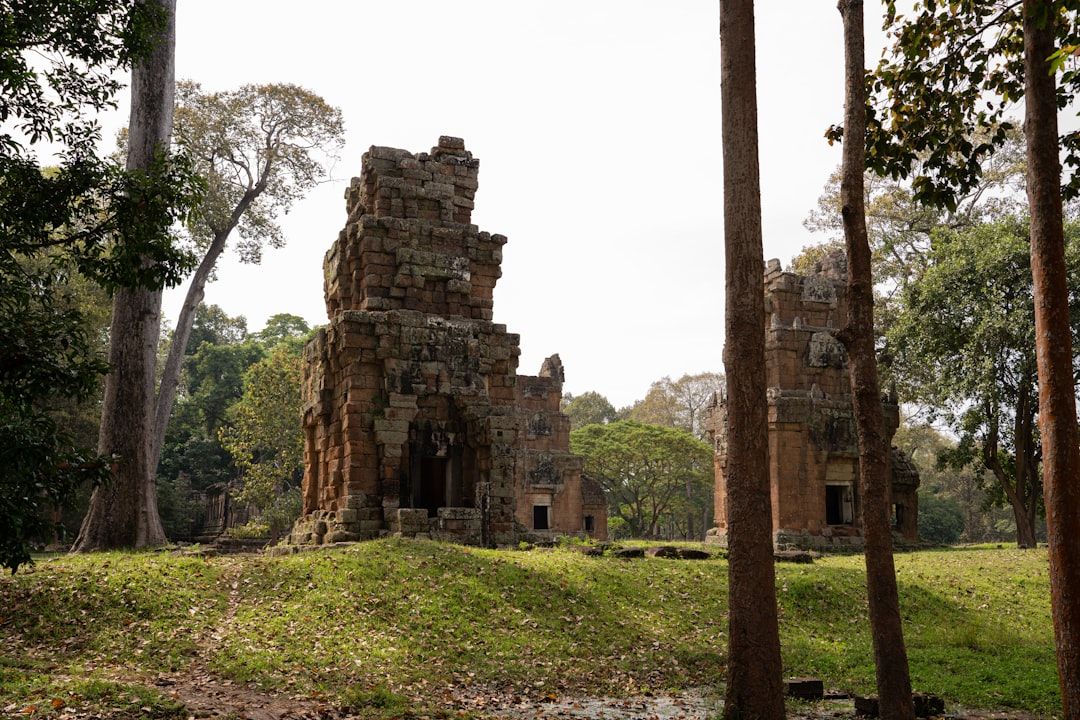 Ancient stone ruins overgrown with jungle vegetation