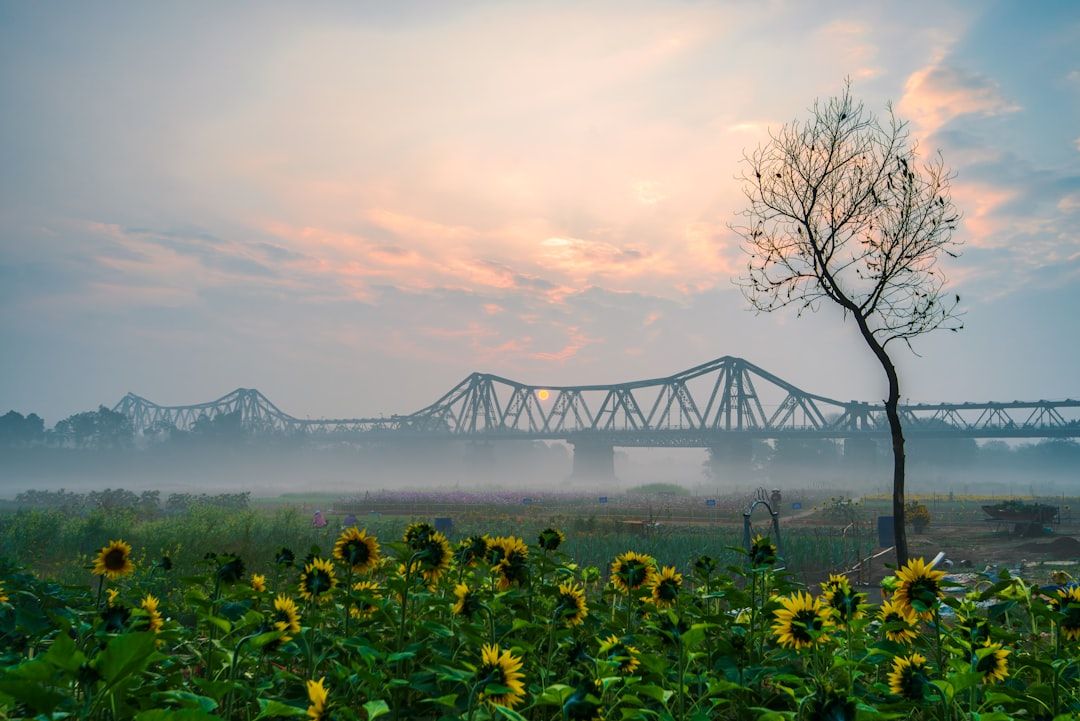 Hanoi in 3 Days: Street Food, History & Charm