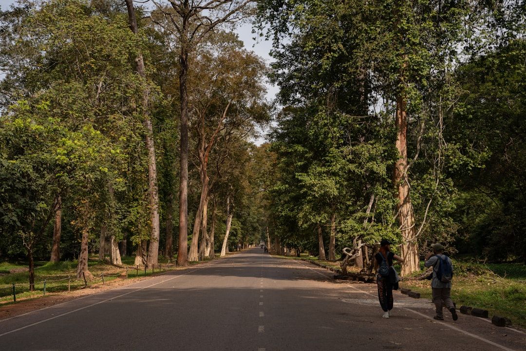 Two people walk on a road through a forest.