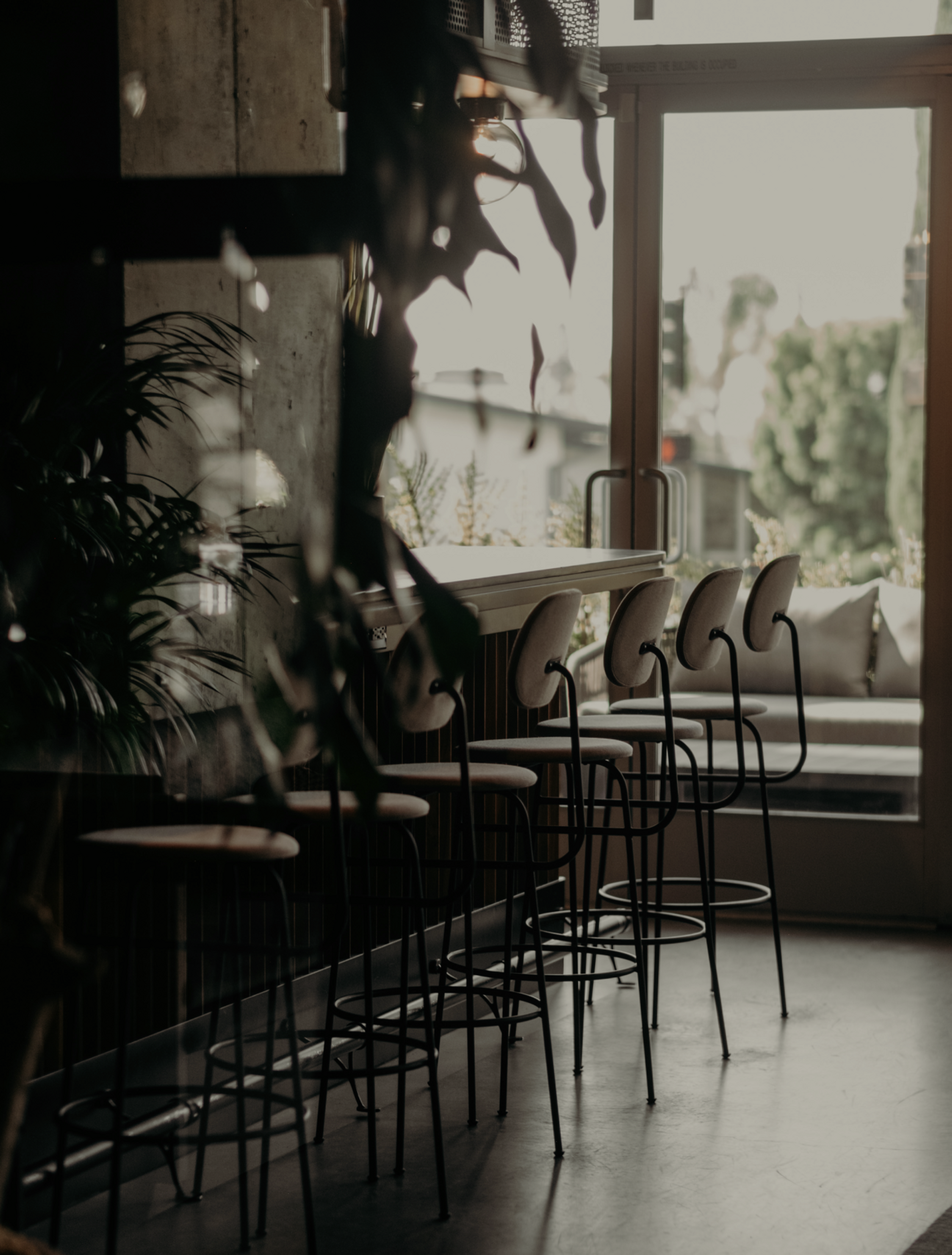 Row of barstools with plants in the foreground