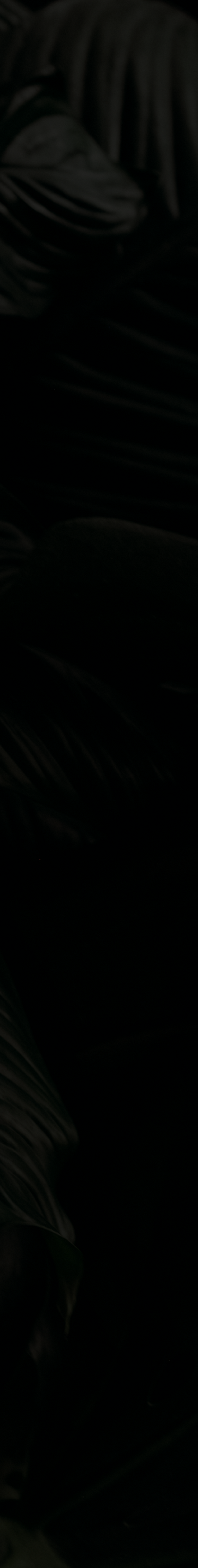 A dark image of palm fronds
