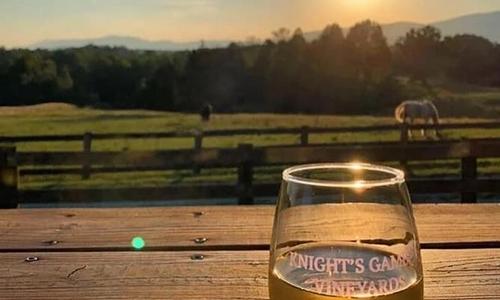 Knight's Gambit Vineyard