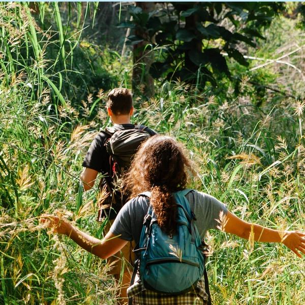 Top Experiences in Charlottesville | Best Things to Do and Explore