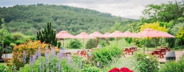Picnic tables with red umbrellas with view of blue ridge mountainsundefined