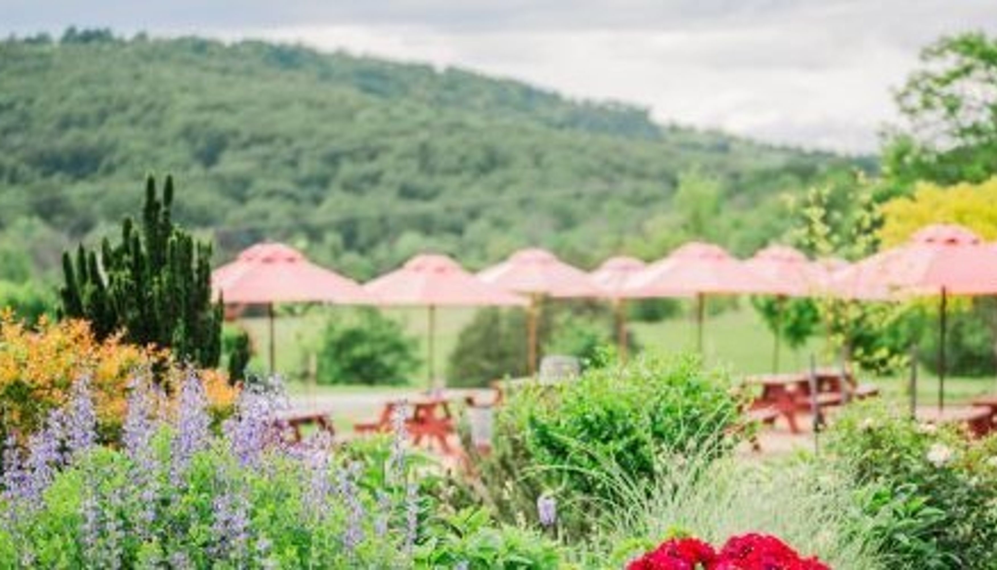 Picnic tables with red umbrellas with view of blue ridge mountainsundefined