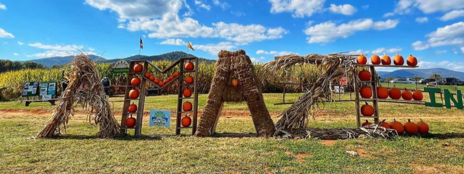 the word AMAZE spelled out by hay and pumpkins