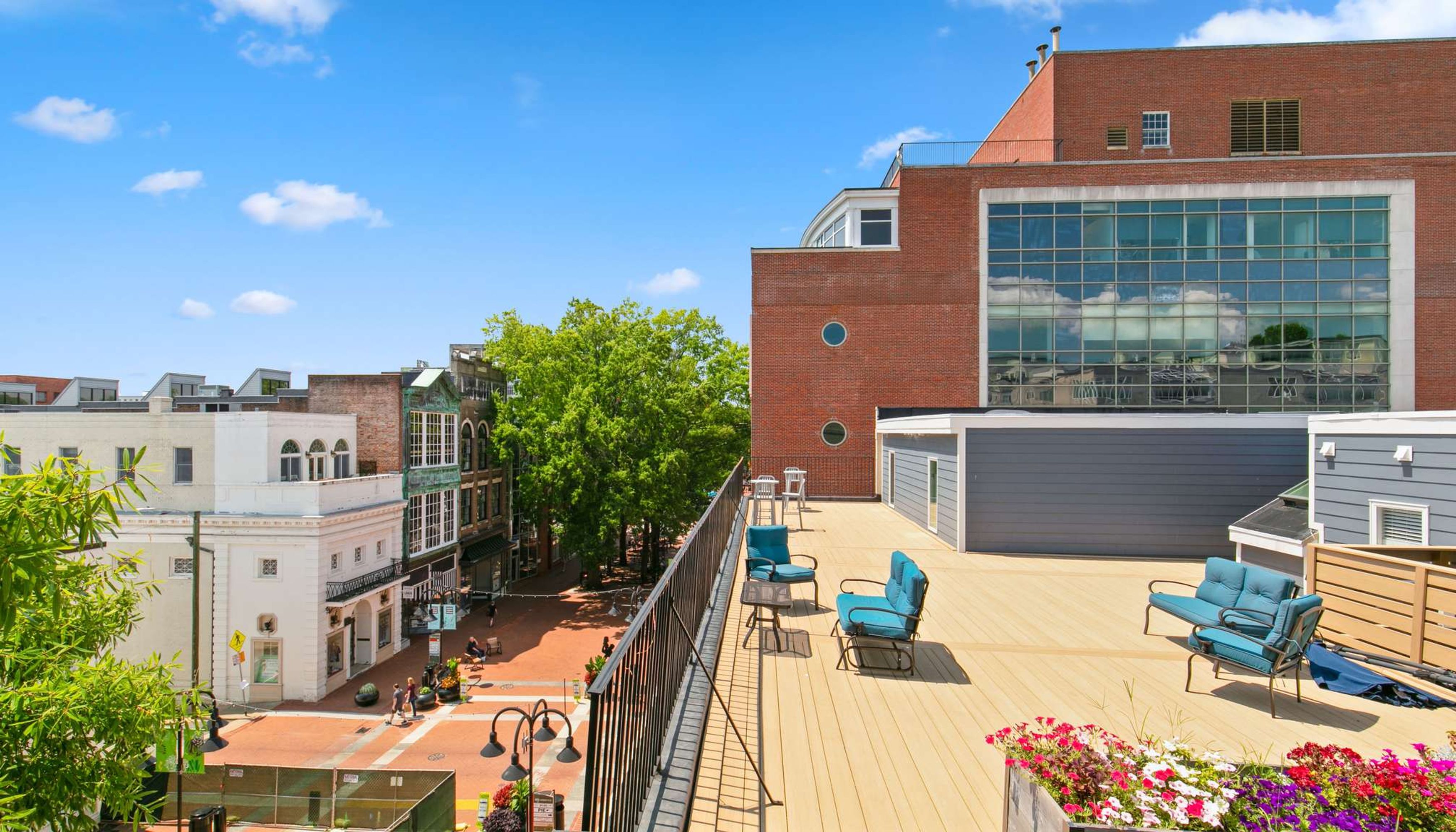 Rooftop view from charlottesville vacation rental