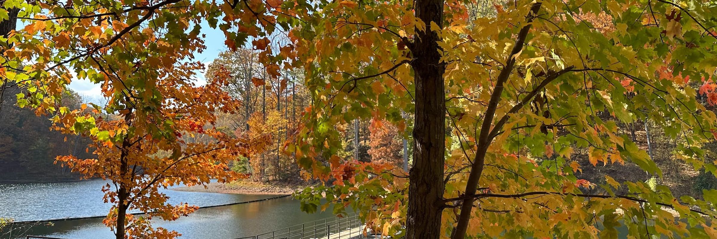 Ragged Mountain Nature Area