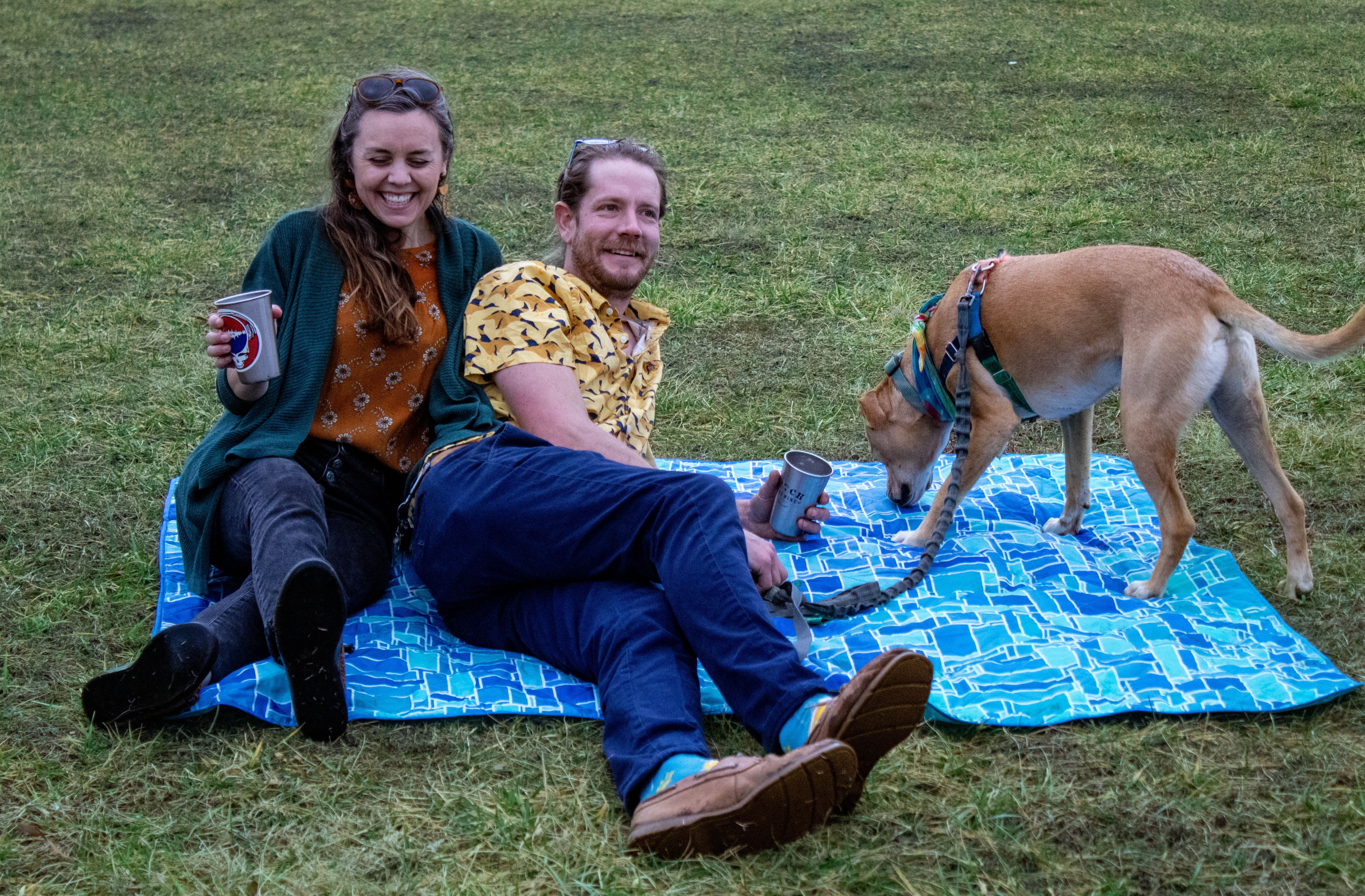 Dog Friendly Brewery with fenced in dog park and room to play