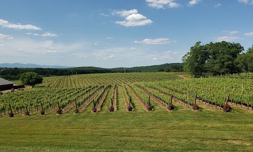 Barboursville Vineyards