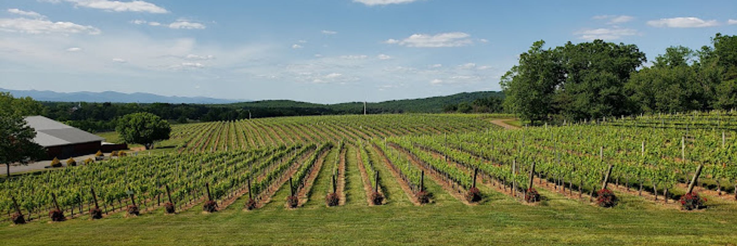 Barboursville Vineyards