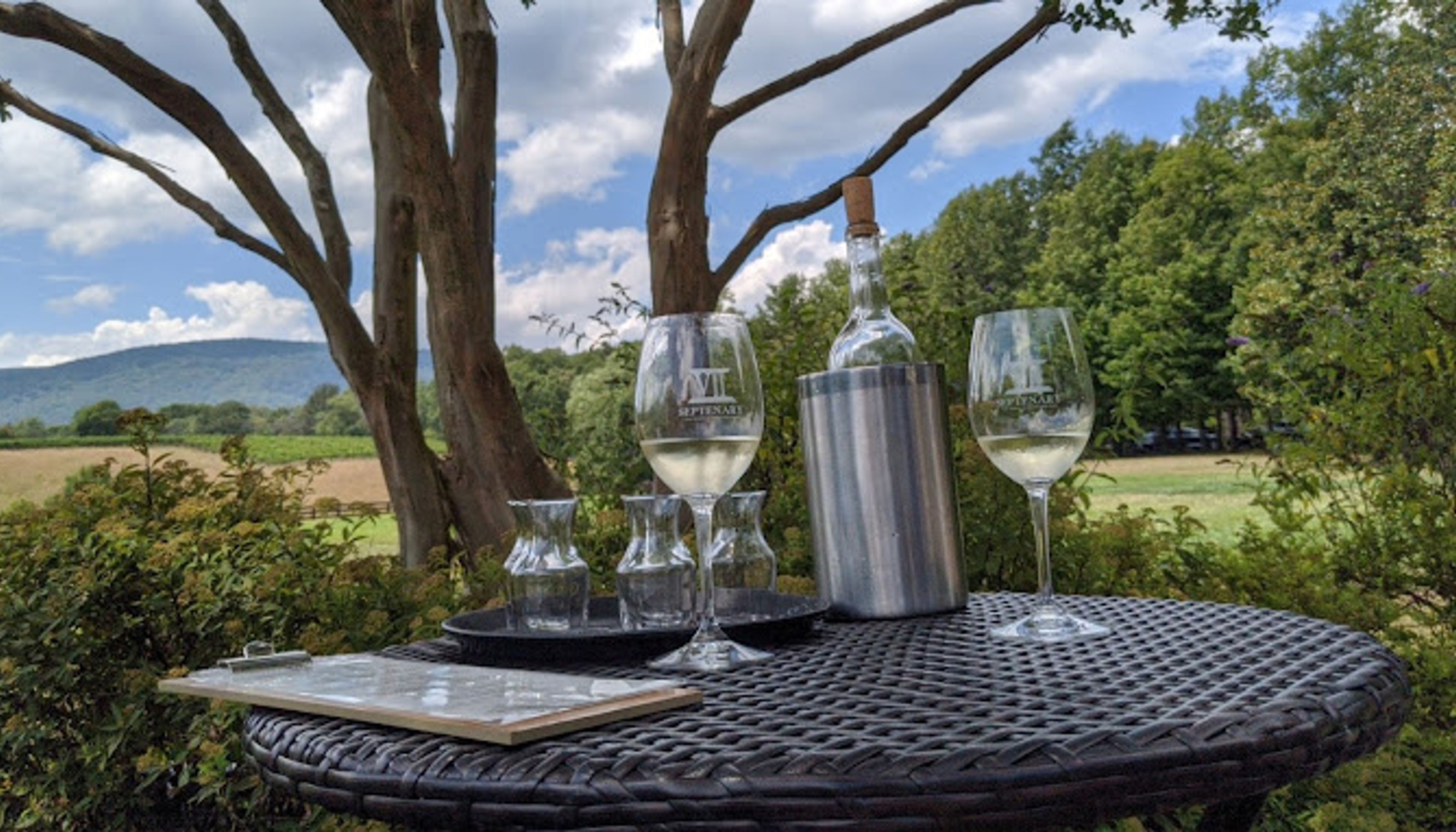Wine glasses on a patio table