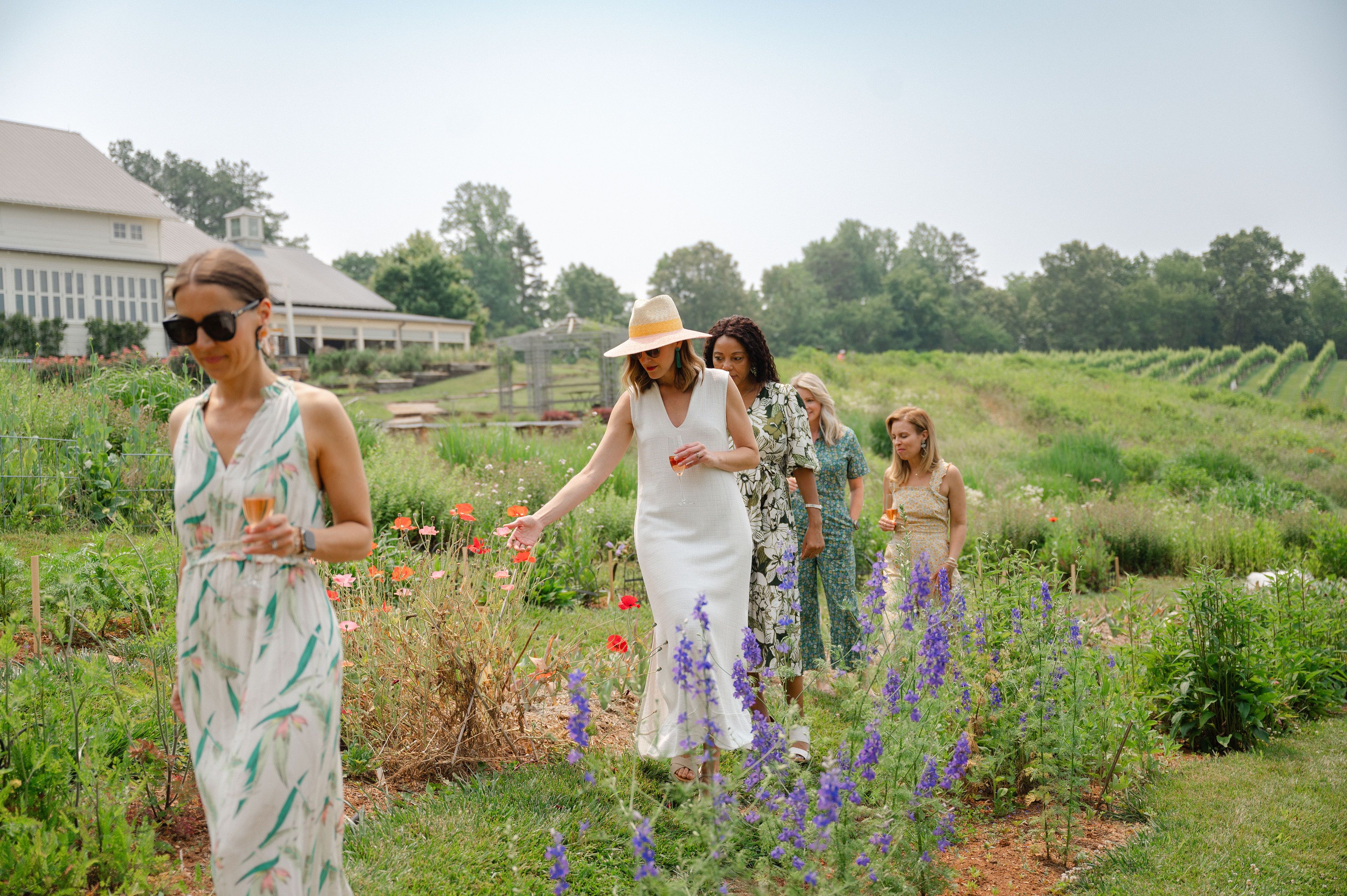 Women walking through vineyardundefined