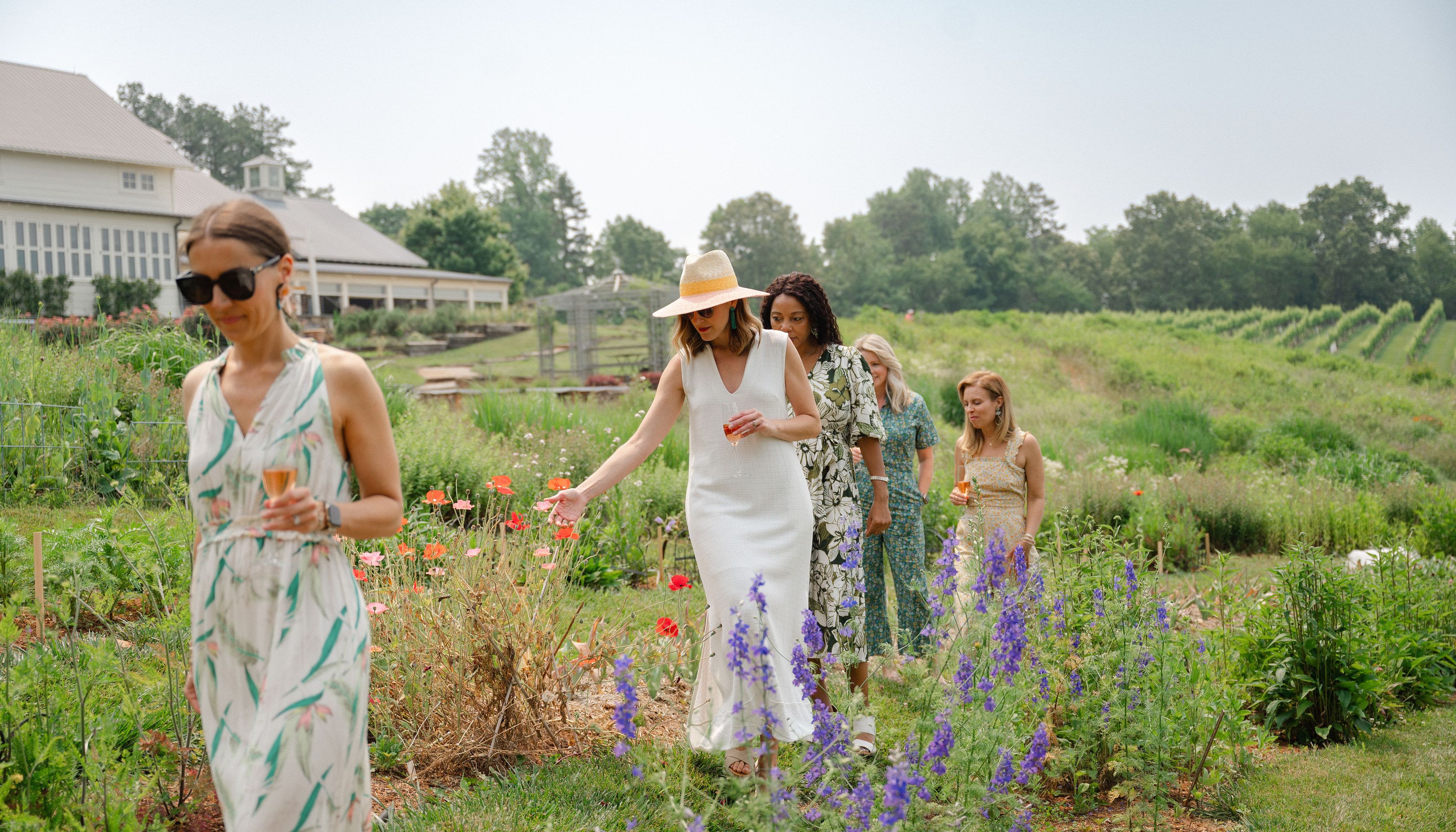 Women walking through vineyardundefined