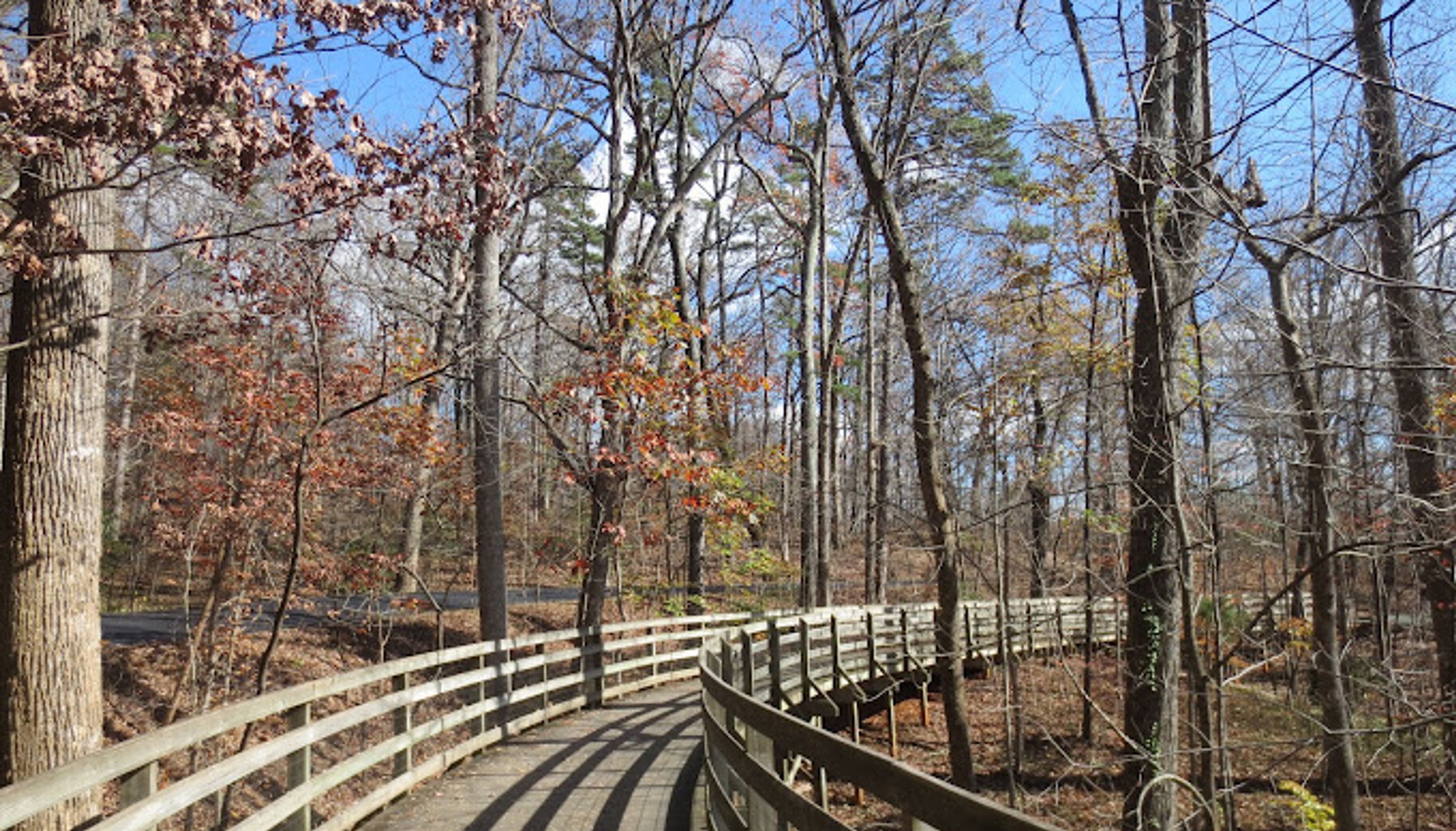 trail with bridge and treesundefined