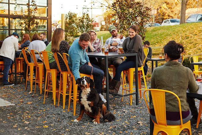 Dog and family eating dinner at Three Notch'd