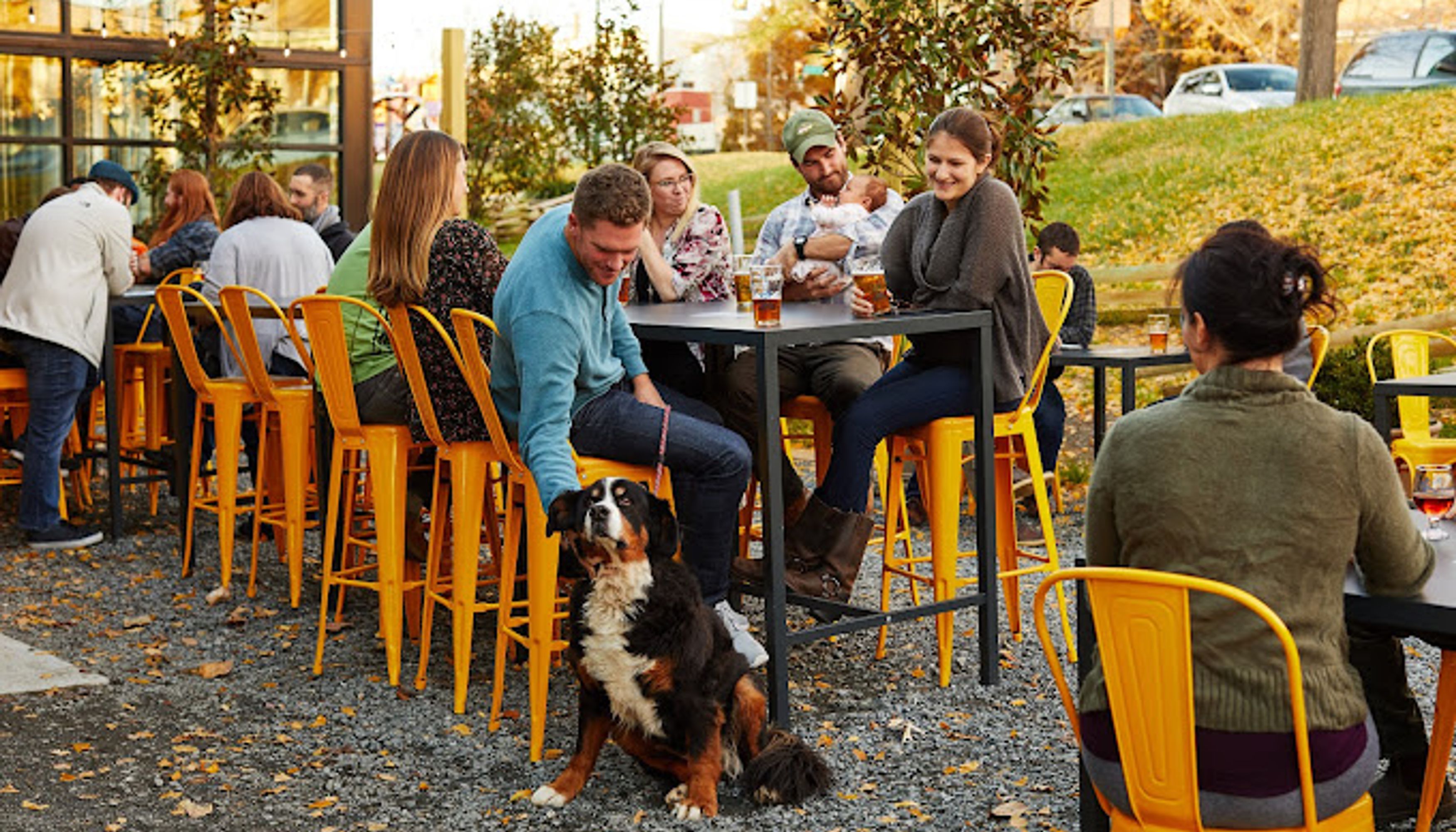 Dog and family eating dinner at Three Notch'd