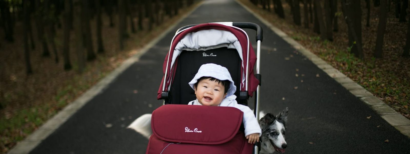 HOT SPOTS FOR STROLLER WALKS