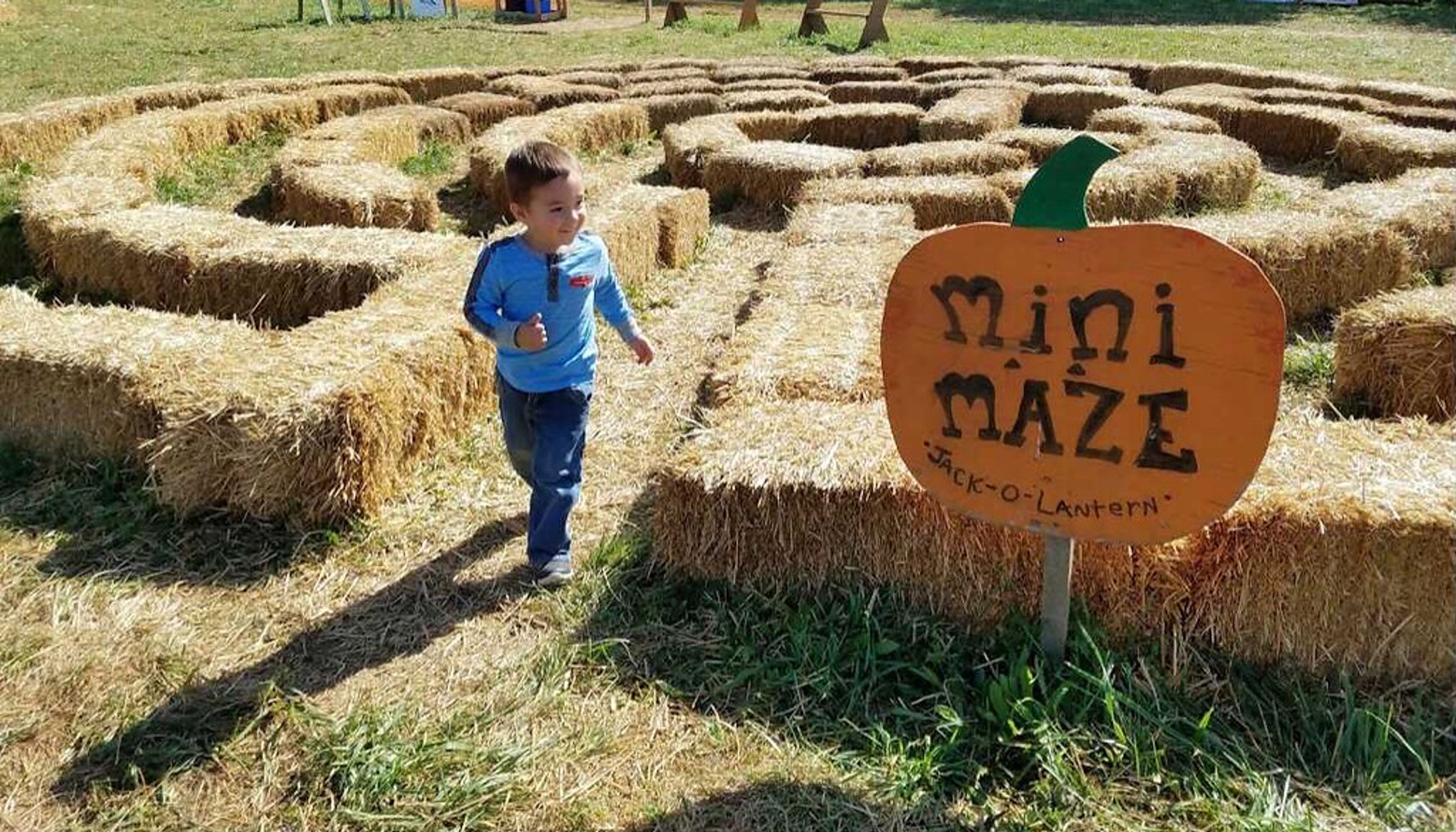 Kid going through corn mazeundefined